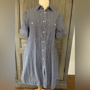 Everlane Blue and White Striped Shirt Dress medium